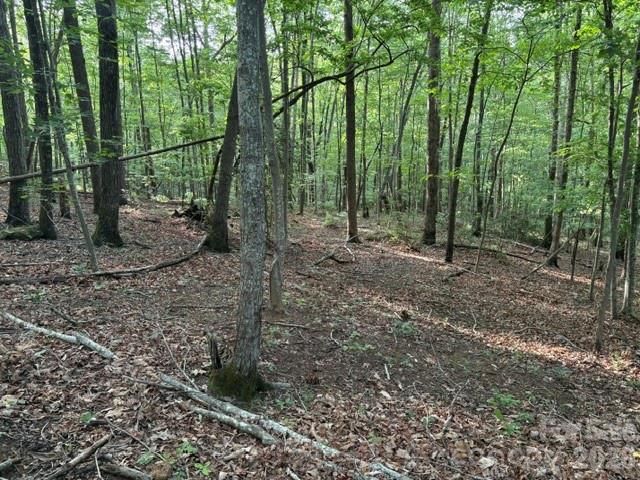 00 Cardinal Circle, Tryon, NC 28782