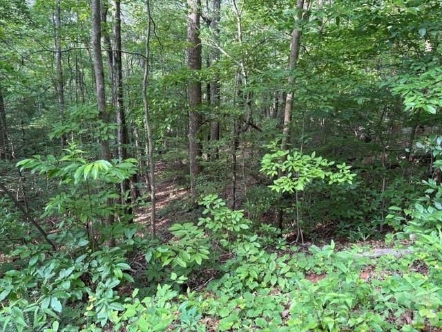 00 Cardinal Circle, Tryon, NC 28782
