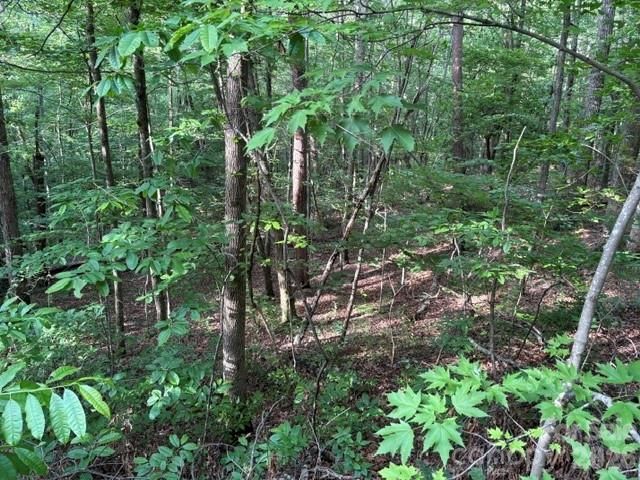 00 Cardinal Circle, Tryon, NC 28782
