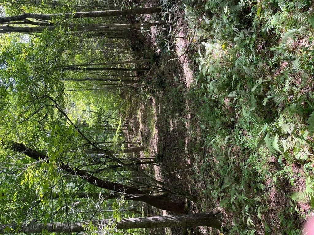 0 Ga Highway 120, Tallapoosa, GA 30176