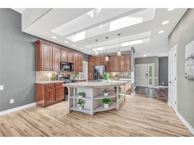 23174 Timber Spring Pl, Parker, CO 80138