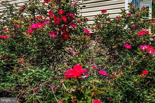 5621 TOWLES MILL RD, Partlow, VA 22534