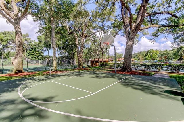 3295 FOX CHASE 105, Palm Harbor, FL 34683