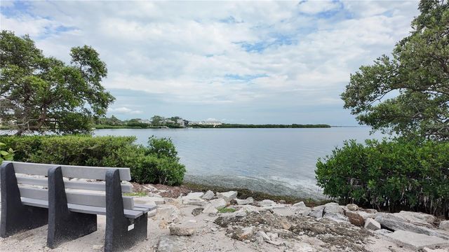 3295 FOX CHASE 105, Palm Harbor, FL 34683