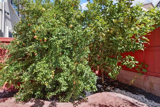 532 E Isidoro Ave, Mountain House, CA 95391