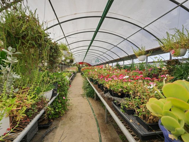 2889 C Road, Grand Junction, CO 81503