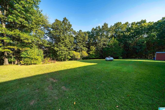 585 DOGWOOD TRAIL, Remlap, AL 35133