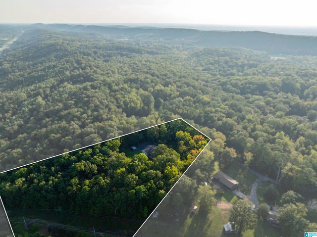 585 DOGWOOD TRAIL, Remlap, AL 35133