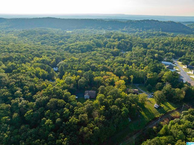 585 DOGWOOD TRAIL, Remlap, AL 35133