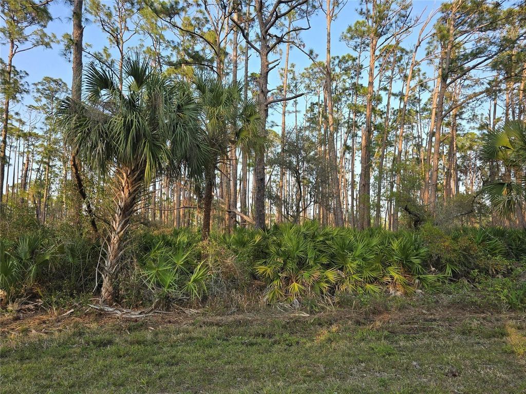 12522 RANCH AVENUE, Port Charlotte, FL 33953