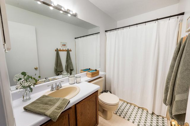 1124 Twin Springs Court, Forest, VA 24551