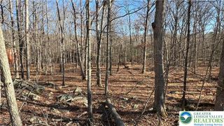 Lot 282 Saunders Court, Lehman Twp, PA 18324