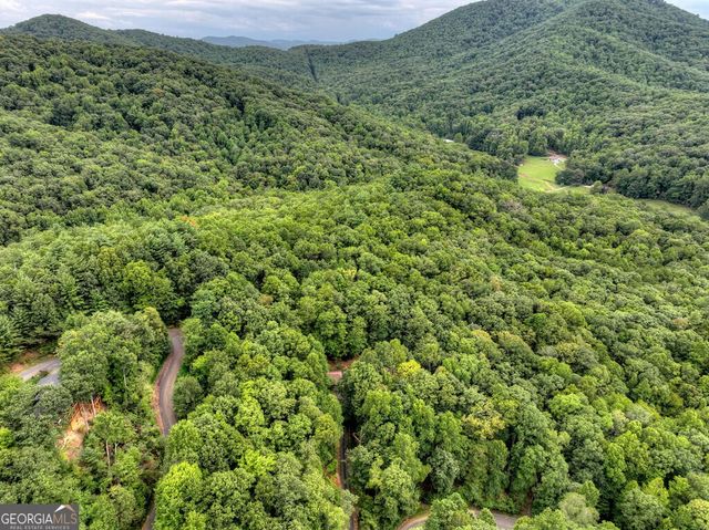 466 Hoot Owl Hill, Morganton, GA 30560