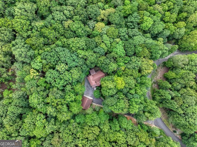 466 Hoot Owl Hill, Morganton, GA 30560