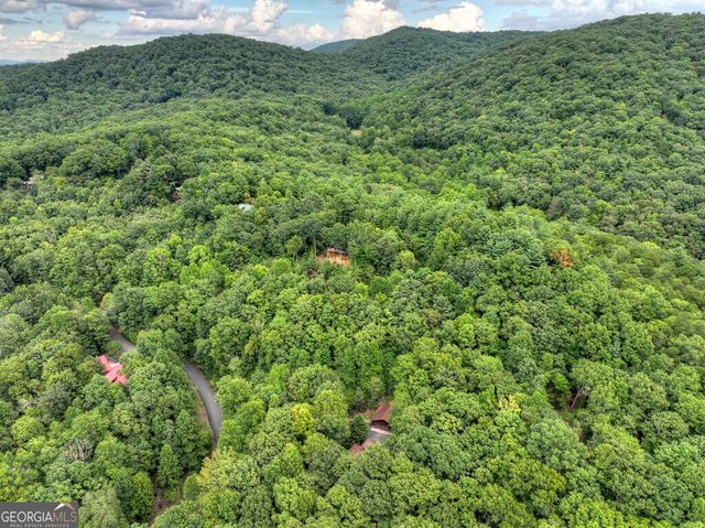 466 Hoot Owl Hill, Morganton, GA 30560