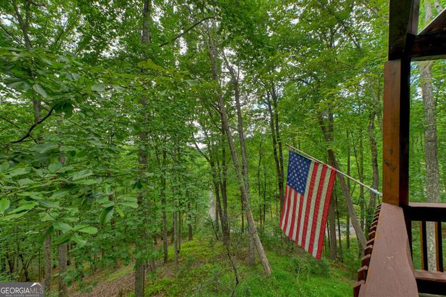 466 Hoot Owl Hill, Morganton, GA 30560