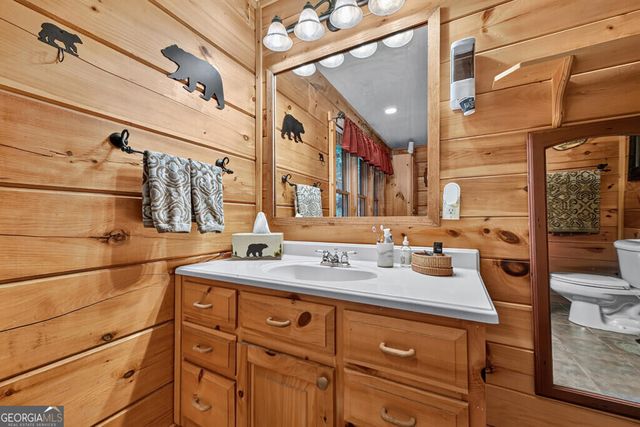 466 Hoot Owl Hill, Morganton, GA 30560