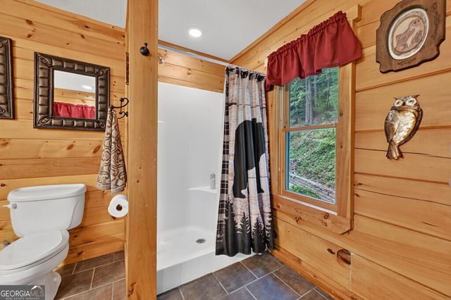466 Hoot Owl Hill, Morganton, GA 30560