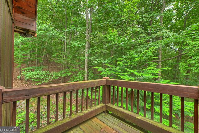 466 Hoot Owl Hill, Morganton, GA 30560