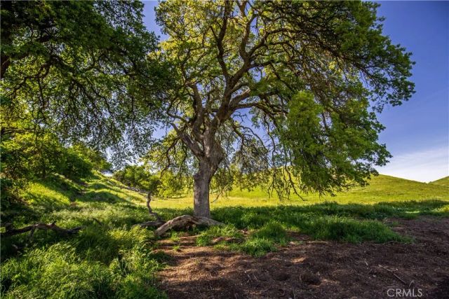 77505 Reinert, San Miguel, CA 93451