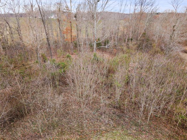 0 Ben Roy Road, Nancy, KY 42544