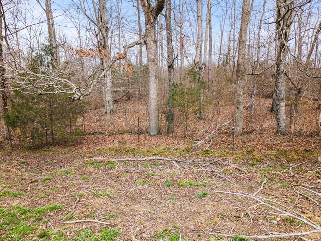 0 Ben Roy Road, Nancy, KY 42544