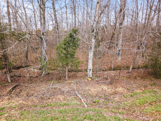 0 Ben Roy Road, Nancy, KY 42544