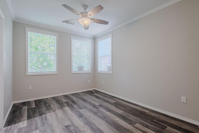 3704 Sauer Street, Houston, TX 77004