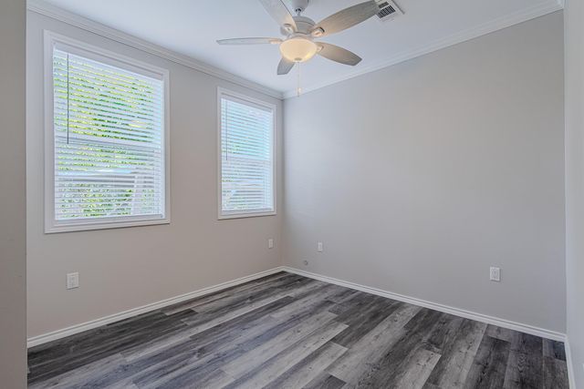 3704 Sauer Street, Houston, TX 77004