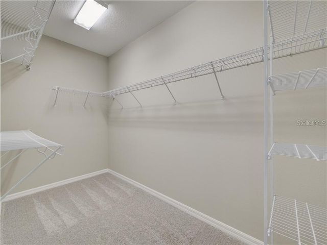 1074 AMBER LEAF TRAIL, Wesley Chapel, FL 33544