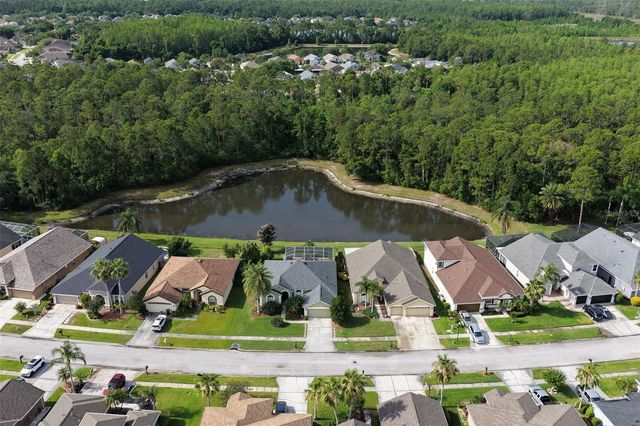 12730 TAR FLOWER DRIVE, Tampa, FL 33626