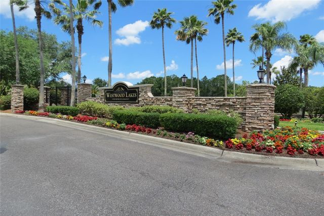 12730 TAR FLOWER DRIVE, Tampa, FL 33626