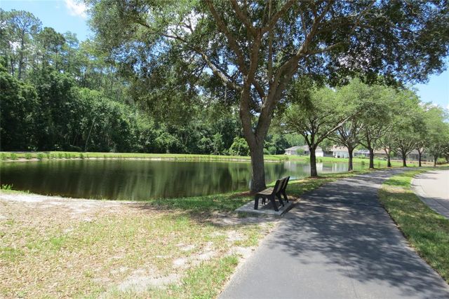 12730 TAR FLOWER DRIVE, Tampa, FL 33626
