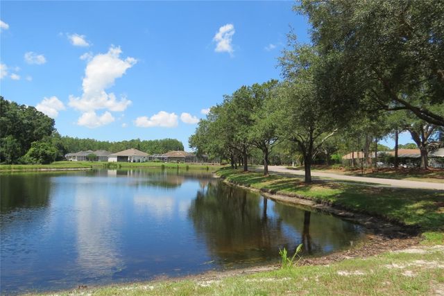 12730 TAR FLOWER DRIVE, Tampa, FL 33626