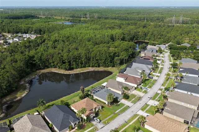 12730 TAR FLOWER DRIVE, Tampa, FL 33626