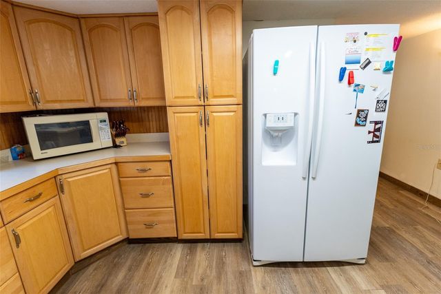 25020 NE 132ND STREET, Salt Springs, FL 32134