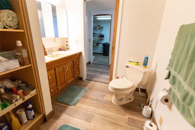 25020 NE 132ND STREET, Salt Springs, FL 32134