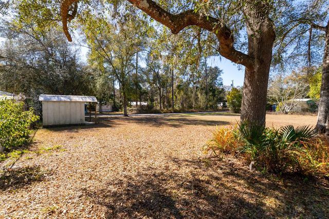 25020 NE 132ND STREET, Salt Springs, FL 32134