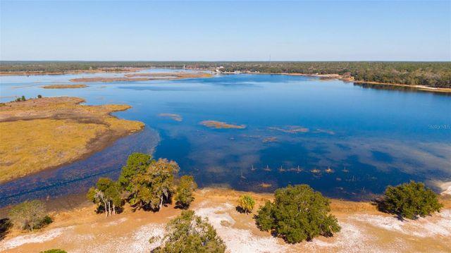 25020 NE 132ND STREET, Salt Springs, FL 32134