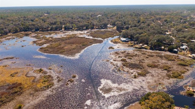 25020 NE 132ND STREET, Salt Springs, FL 32134