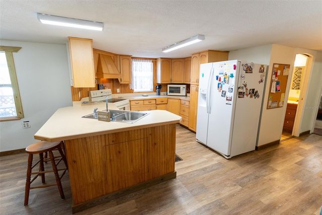 25020 NE 132ND STREET, Salt Springs, FL 32134