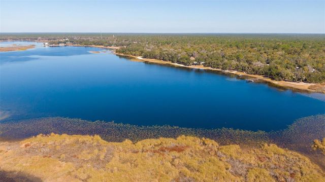 25020 NE 132ND STREET, Salt Springs, FL 32134