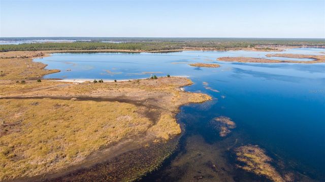 25020 NE 132ND STREET, Salt Springs, FL 32134