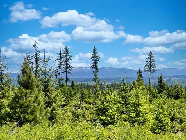 0 Timberline Heights, Parcel 4, Weippe, ID 83553 property photo