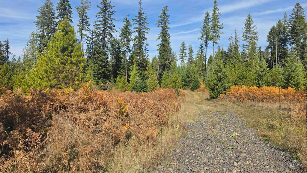 0 Timberline Heights, Parcel 4, Weippe, ID 83553 photo 2