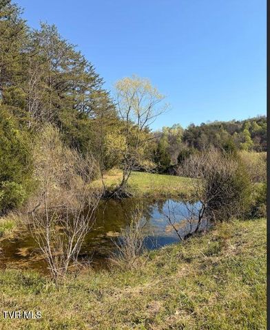450 Beech Creek Road, Rogersville, TN 37857