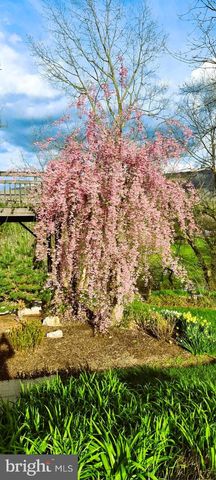 74 MANOR DR, Edinburg, VA 22824