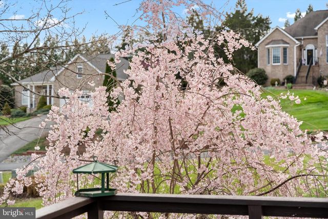 74 MANOR DR, Edinburg, VA 22824