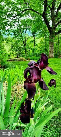 74 MANOR DR, Edinburg, VA 22824