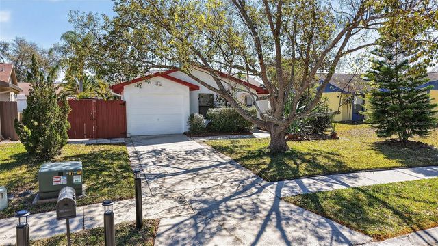 215 LAKE CHARLES COURT, Oldsmar, FL 34677